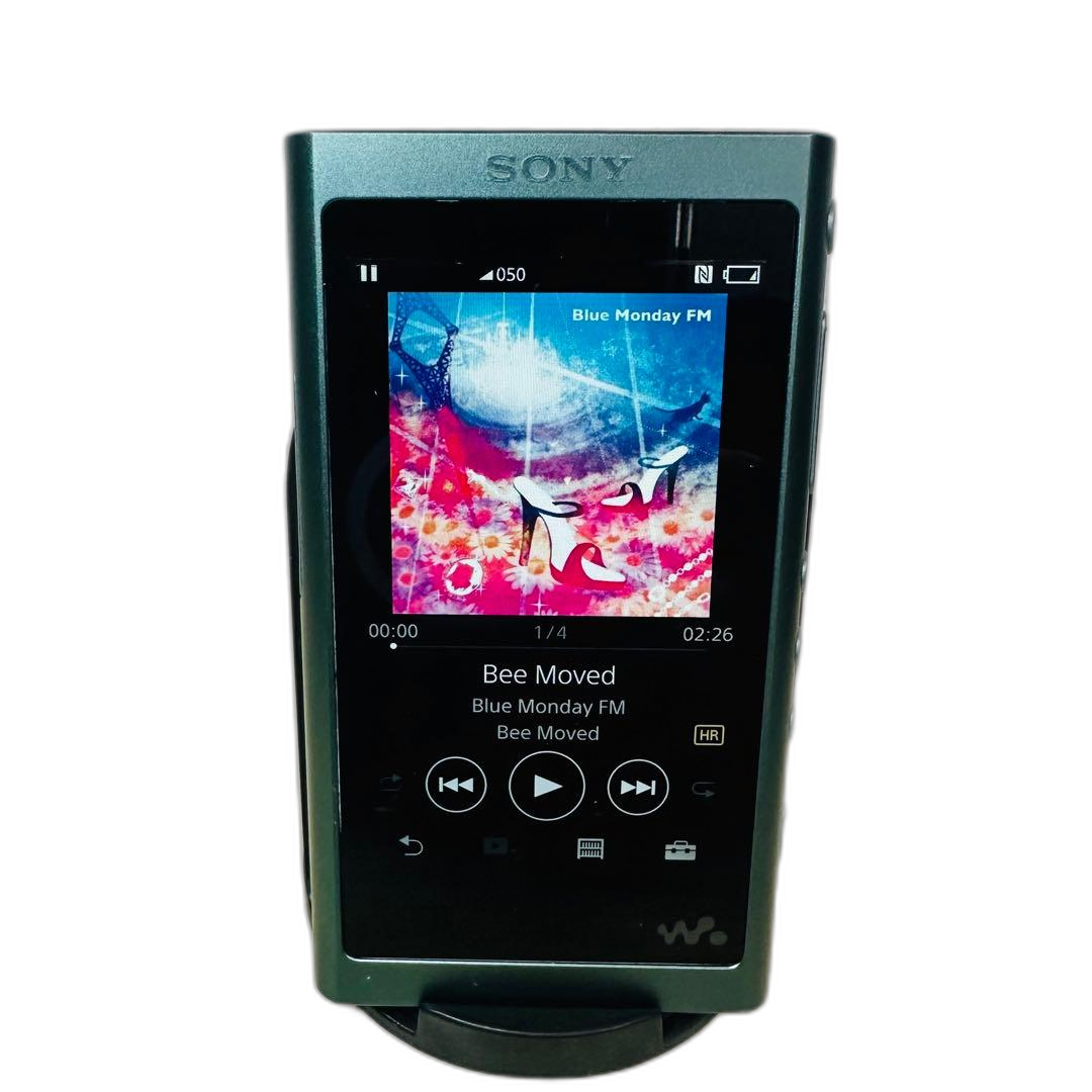 Sony Digital Audio Player Walkman Nw-A57 64Gb