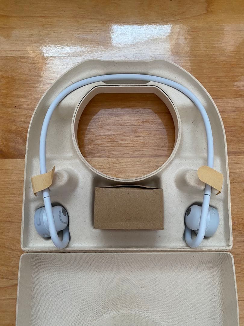 Ntt Wireless Earphones Nwm Go(