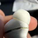 Apple Airpods Airpodspro 2 Type-C Mtjv3J/A