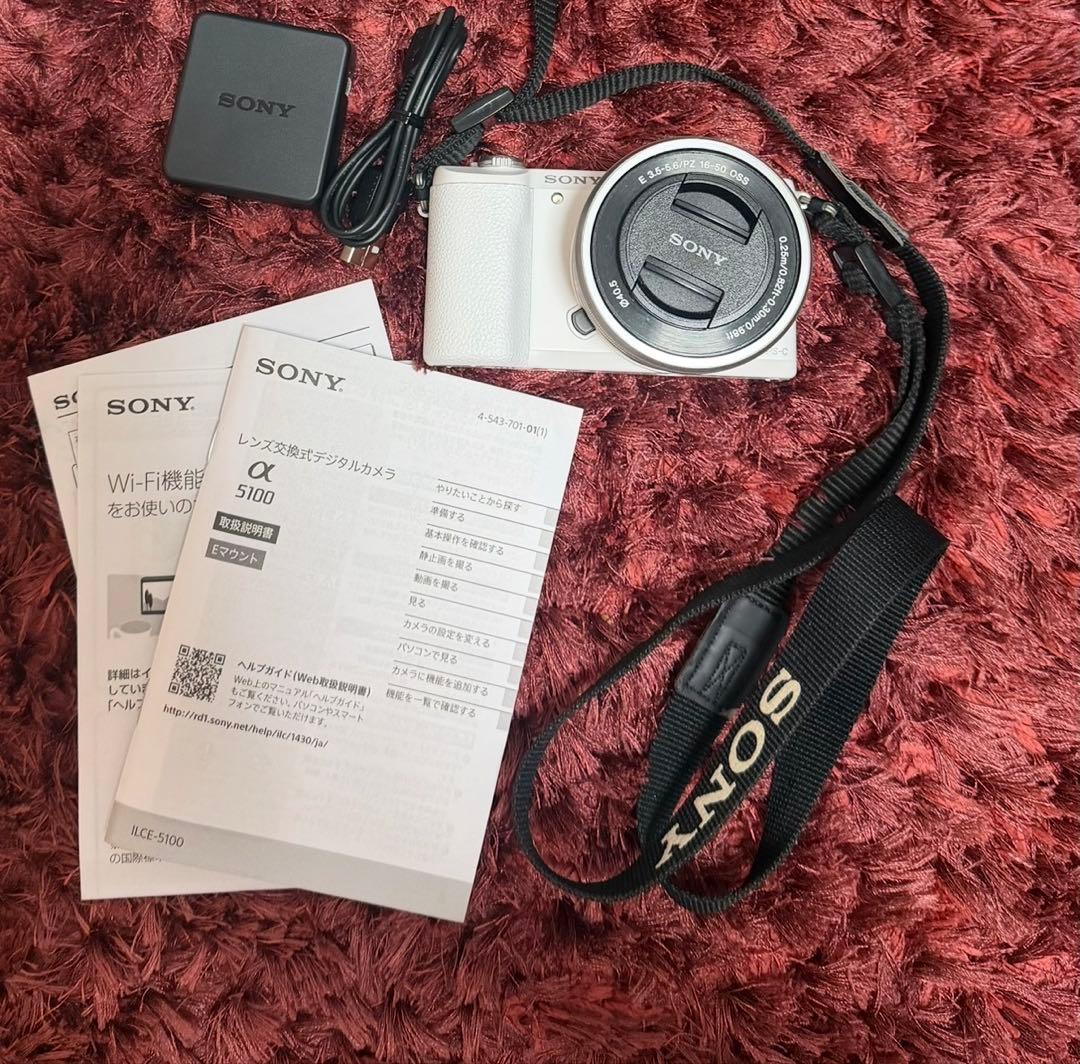 Sony Mirrorless Interchangeable Lips 5100 16-50Mm