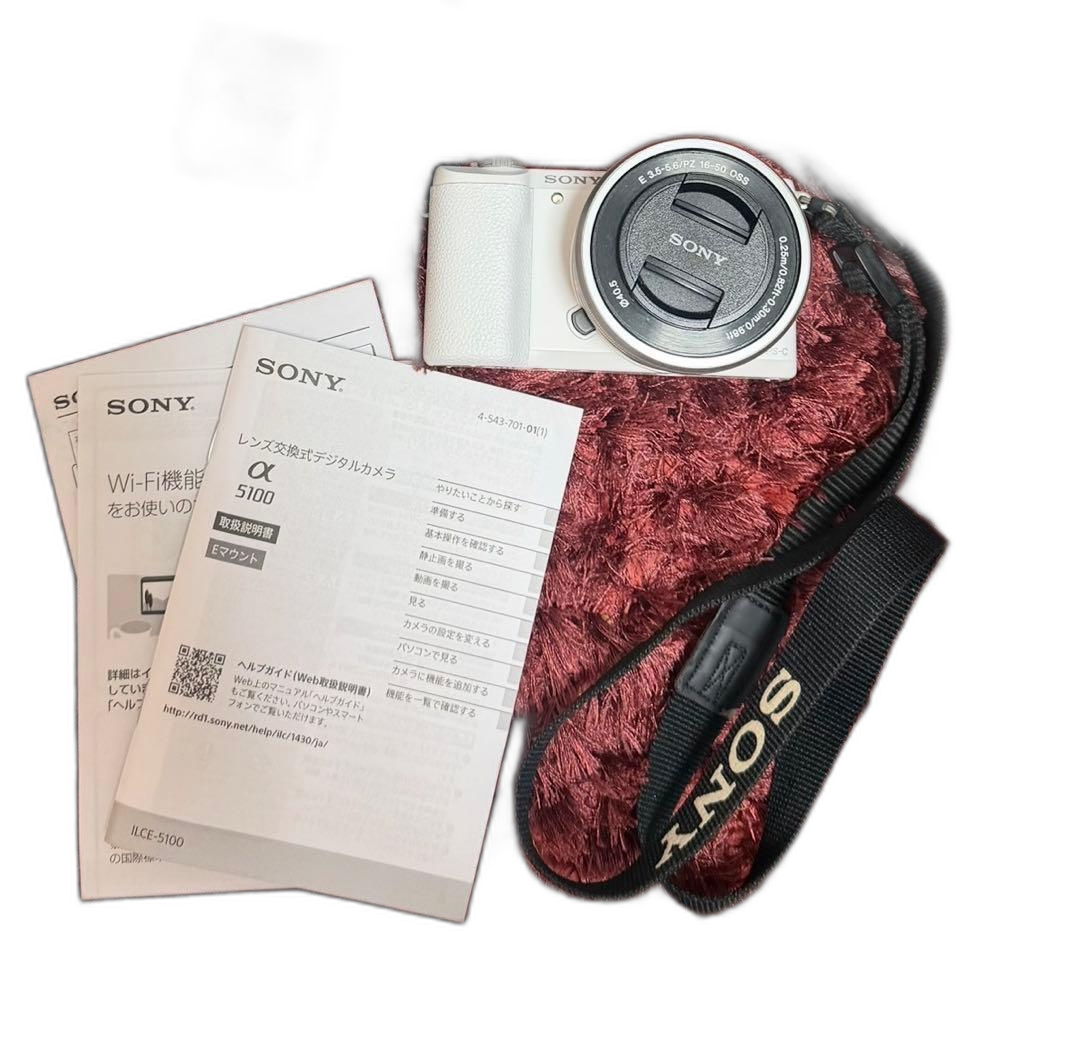 Sony Mirrorless Interchangeable Lips 5100 16-50Mm