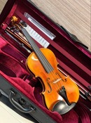 Yamaha Violin Body Braviol 4/4 V10G