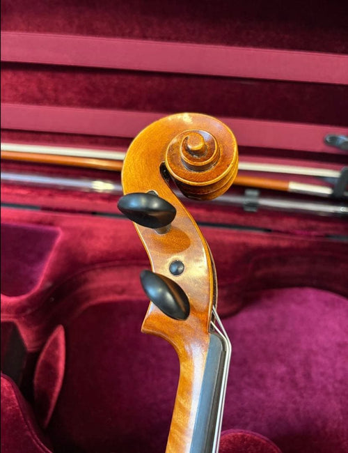 Yamaha Violin Body Braviol 4/4 V10G