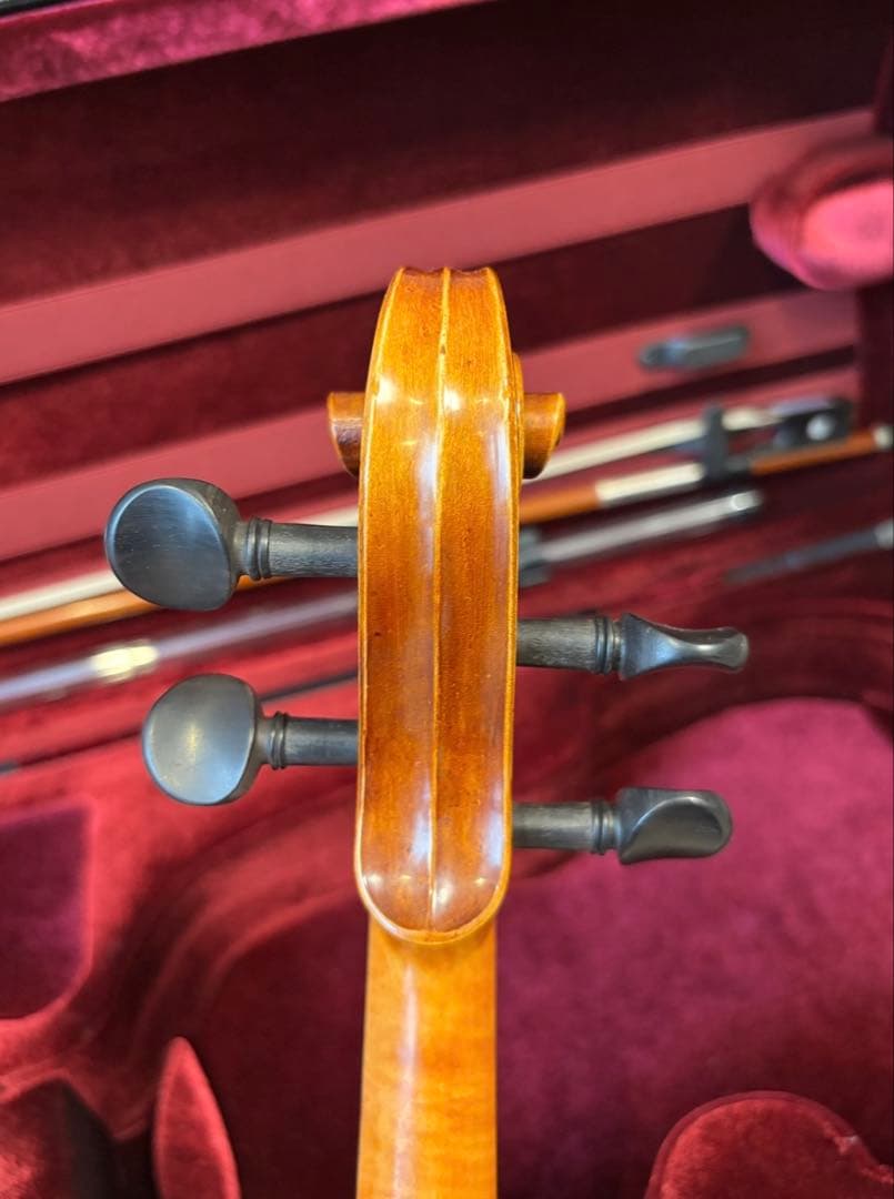 Yamaha Violin Body Braviol 4/4 V10G