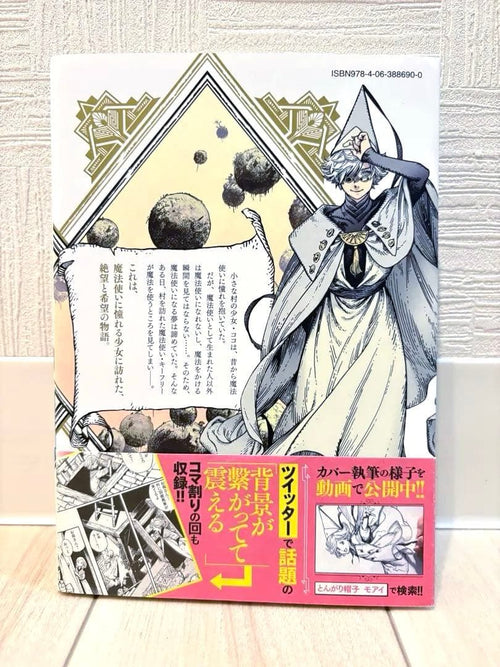Seinen Manga 1