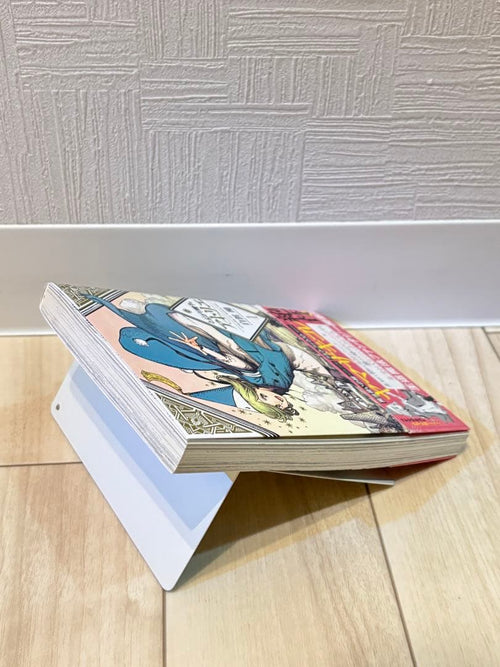 Seinen Manga 1