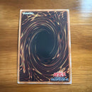 Yu-Gi-Oh! Ocg Duel Monsters (Japanese)