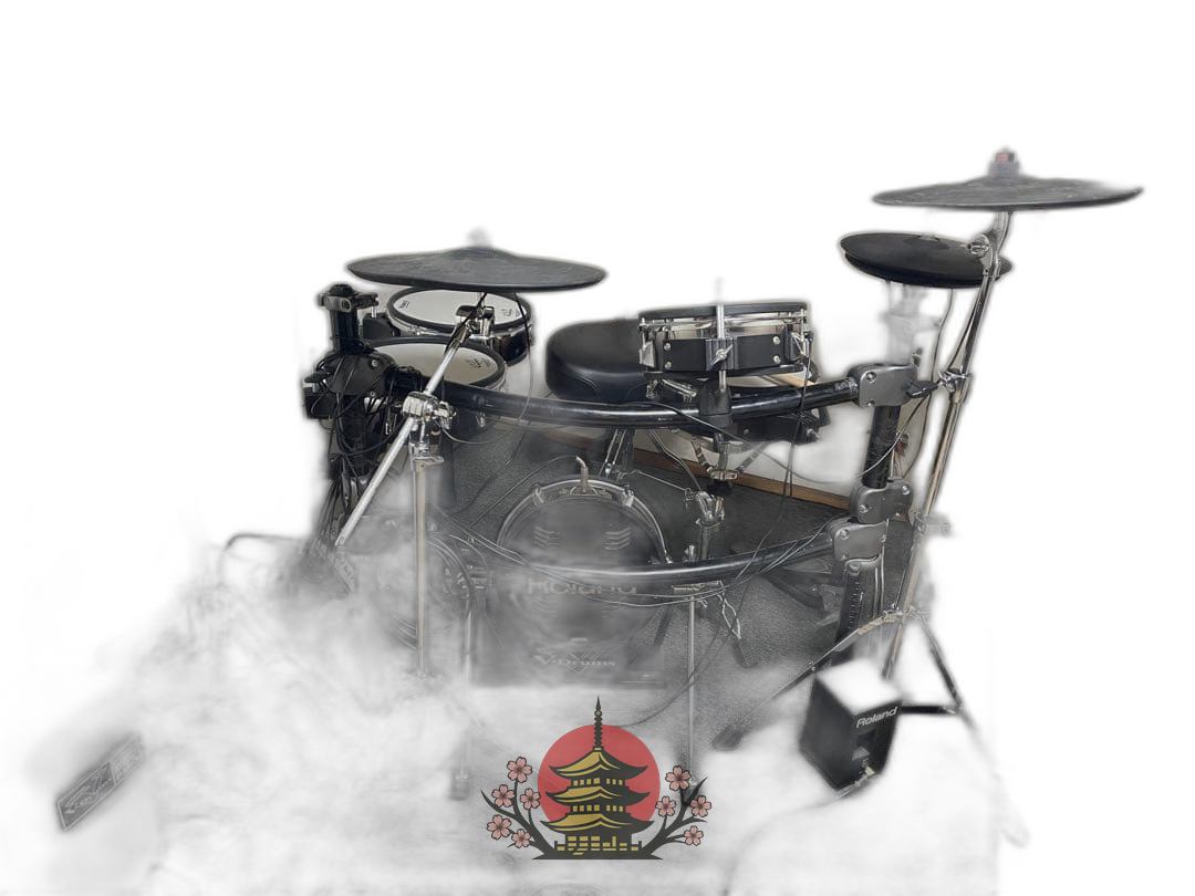 Roland Electronic Drum Td-20