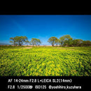 Samyang Others 8/21 31 (Kt) Lk Af 14-24Mm F2.8 L