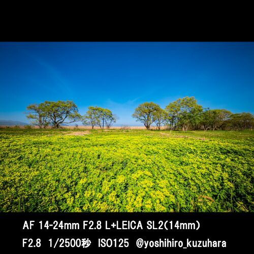 Samyang Others 8/21 31 (Kt) Lk Af 14-24Mm F2.8 L