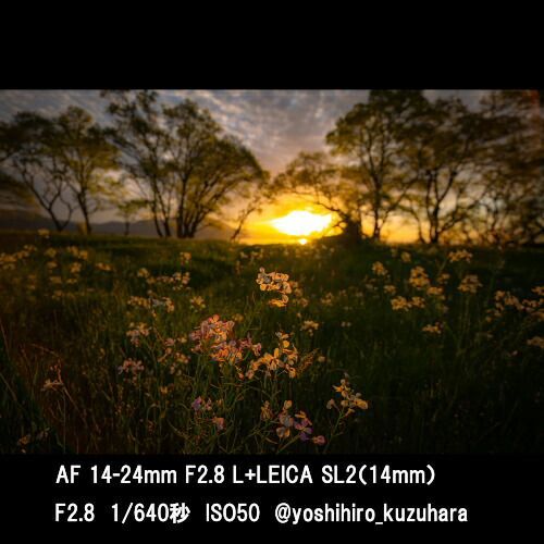 Samyang Others 8/21 31 (Kt) Lk Af 14-24Mm F2.8 L