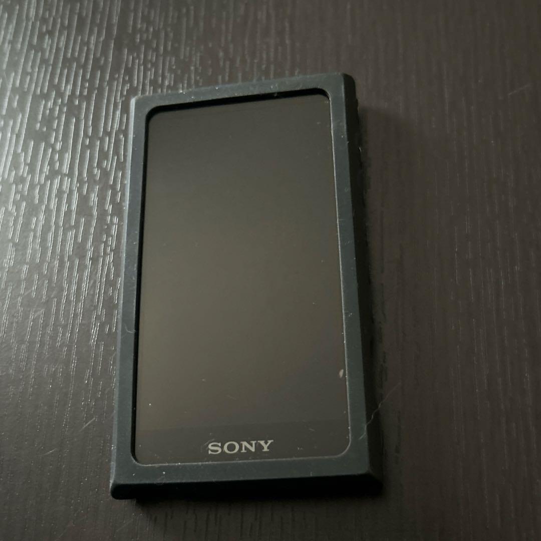 Sony Digital Audio Player Walkman A Nw-A100 16Gb