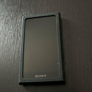 Sony Digital Audio Player Walkman A Nw-A100 16Gb