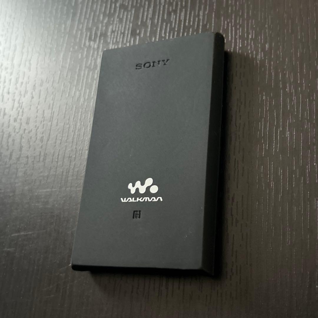 Sony Digital Audio Player Walkman A Nw-A100 16Gb