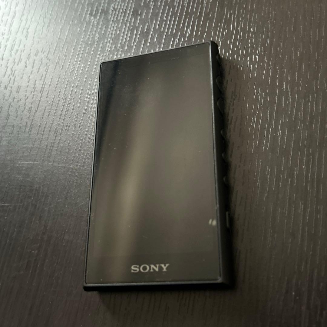 Sony Digital Audio Player Walkman A Nw-A100 16Gb