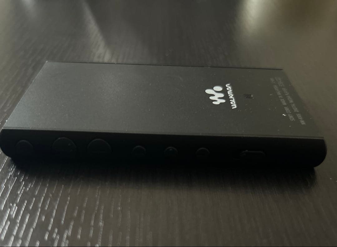 Sony Digital Audio Player Walkman A Nw-A100 16Gb