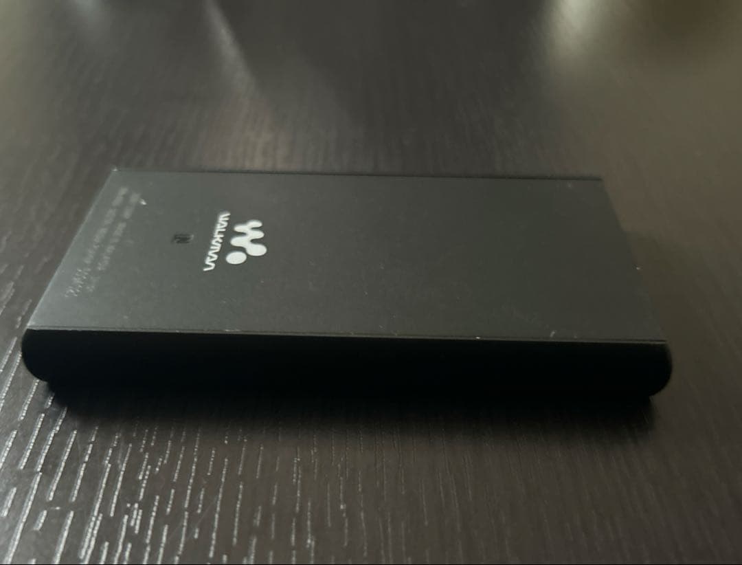 Sony Digital Audio Player Walkman A Nw-A100 16Gb