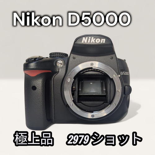 Nikon Digital Slr 2979 D5000