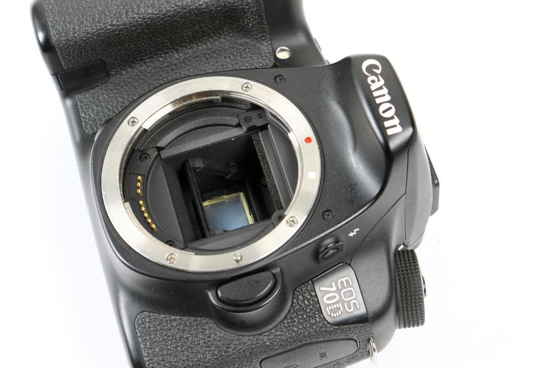 Canon Digital Slrs