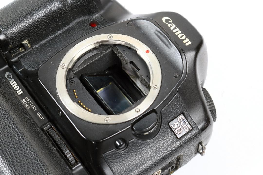 Canon Digital Slrs