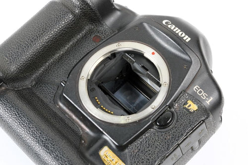 Canon Digital Slrs