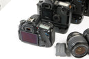 Canon Digital Slrs