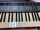 Yamaha Others Dsr-500