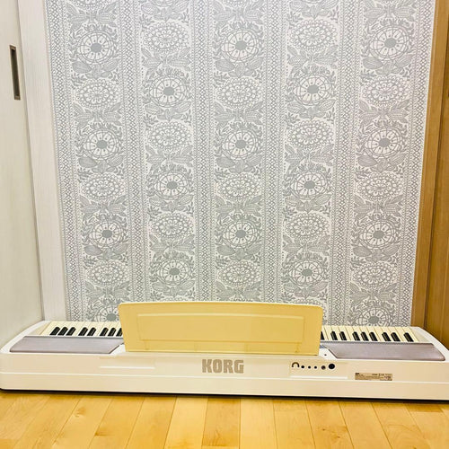 Korg Keyboards Digital Pianos Sp-170S 88