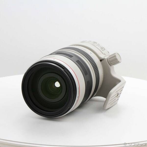 Canon Lens (Zoom) Ef 28-300Mm F3.5-5.6L Is Usm 262