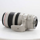 Canon Lens (Zoom) Ef 28-300Mm F3.5-5.6L Is Usm 262