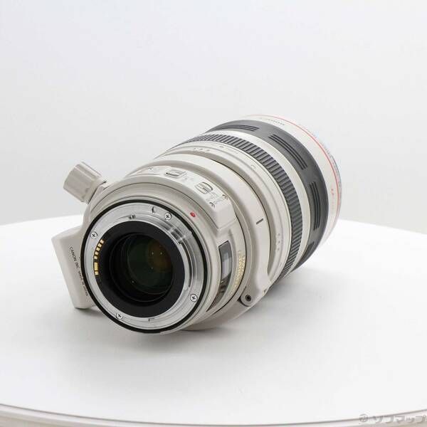 Canon Lens (Zoom) Ef 28-300Mm F3.5-5.6L Is Usm 262