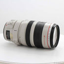 Canon Lens (Zoom) Ef 28-300Mm F3.5-5.6L Is Usm 262