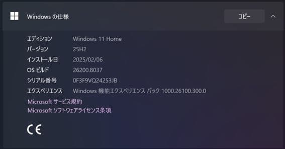 Microsoft Windows Tablet Body Surface Pro 11 5G