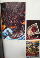Illustrations 1(