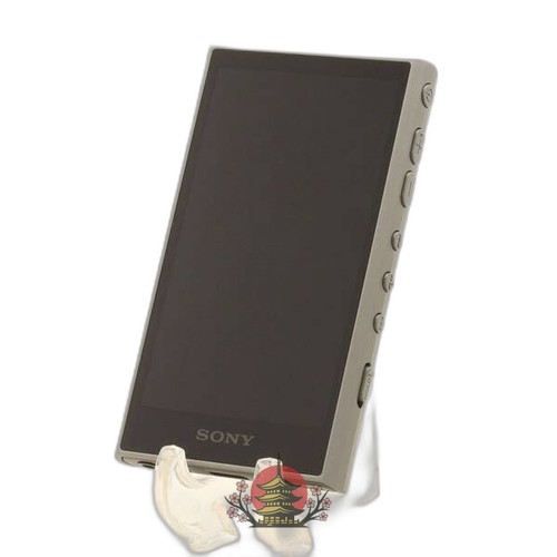 Sony Digital Audio Player Walkman A300 64Gb+Microsd Nw-A307(H) 349
