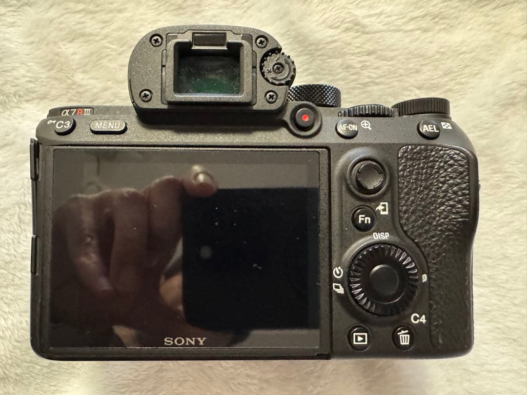 Sony Mirrorless Interchangeable Lens Cameras 7Riii