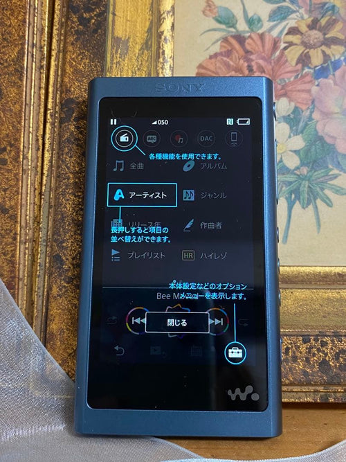 Sony Digital Audio Player Nw-A55