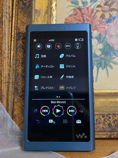 Sony Digital Audio Player Nw-A55