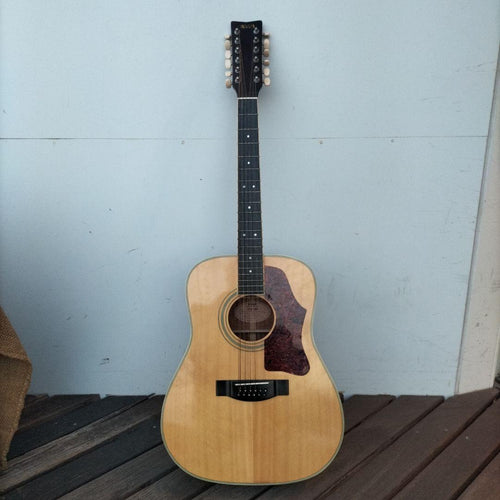 Acoustic Guitar 12 Fg12-250