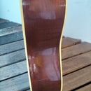 Acoustic Guitar 12 Fg12-250