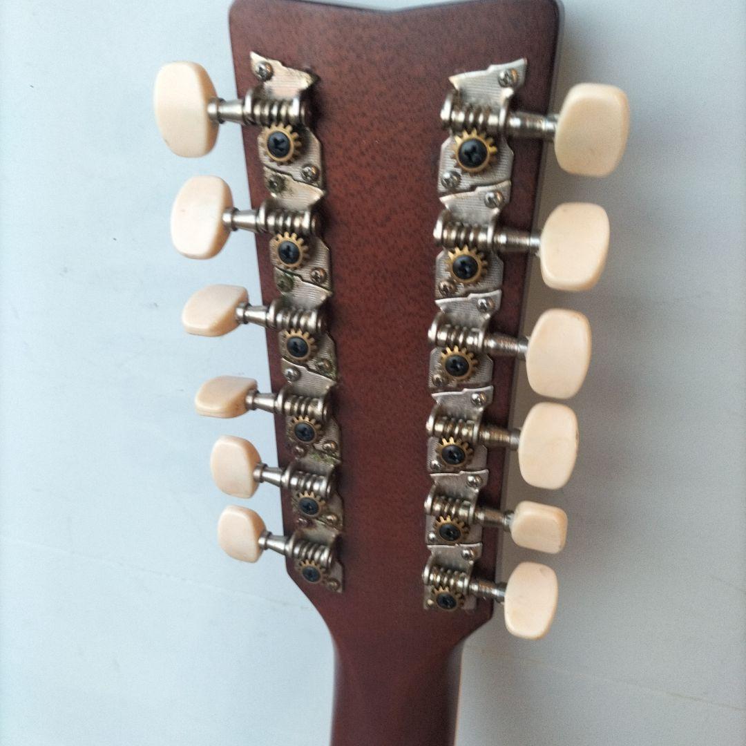 Acoustic Guitar 12 Fg12-250