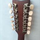 Acoustic Guitar 12 Fg12-250