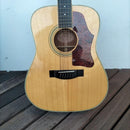 Acoustic Guitar 12 Fg12-250