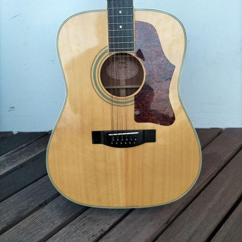 Acoustic Guitar 12 Fg12-250