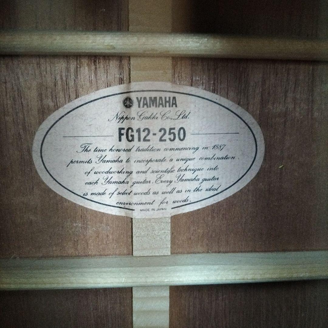 Acoustic Guitar 12 Fg12-250