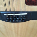 Acoustic Guitar 12 Fg12-250