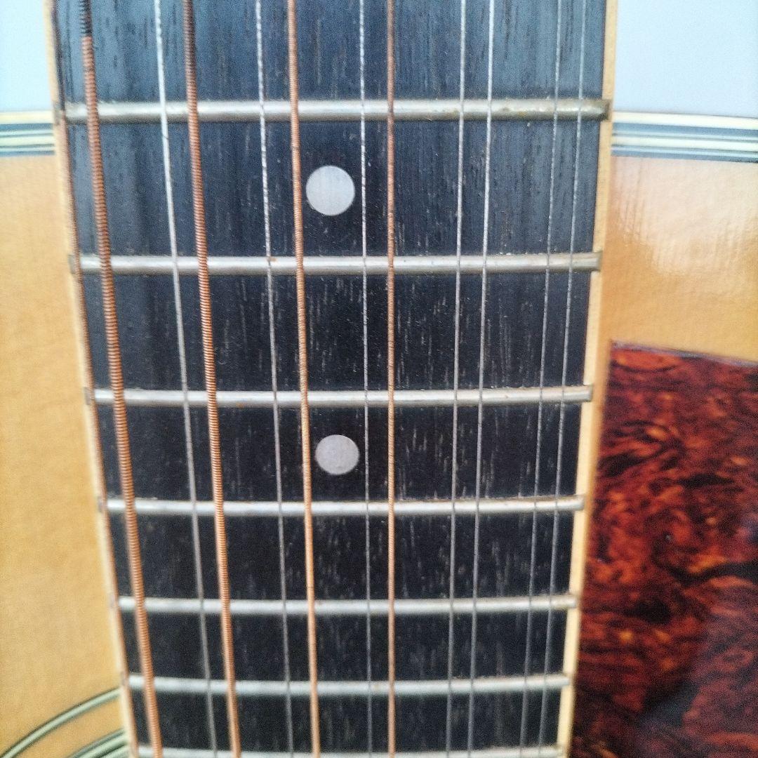 Acoustic Guitar 12 Fg12-250