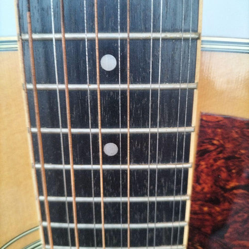 Acoustic Guitar 12 Fg12-250