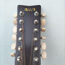 Acoustic Guitar 12 Fg12-250