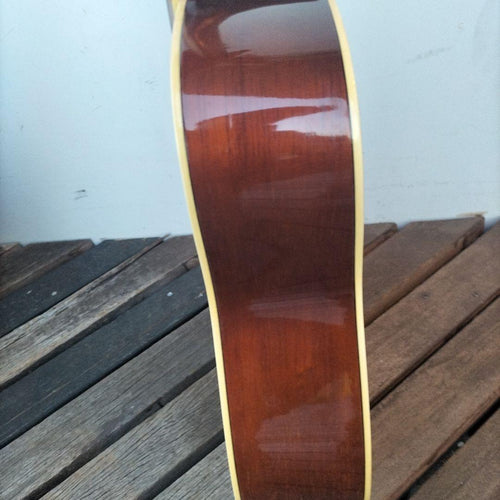 Acoustic Guitar 12 Fg12-250